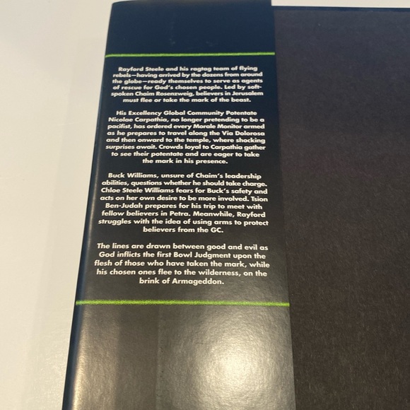 “Left Behind” series, “Desecration” by Tim LaHaye - Picture 3 of 5